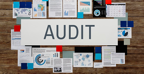Original Returns Audit Technique Guide – June 2005 Image